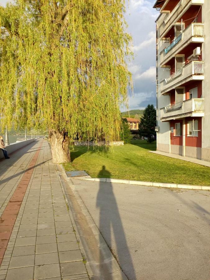 Apartman Bogojevic Golubac Εξωτερικό φωτογραφία